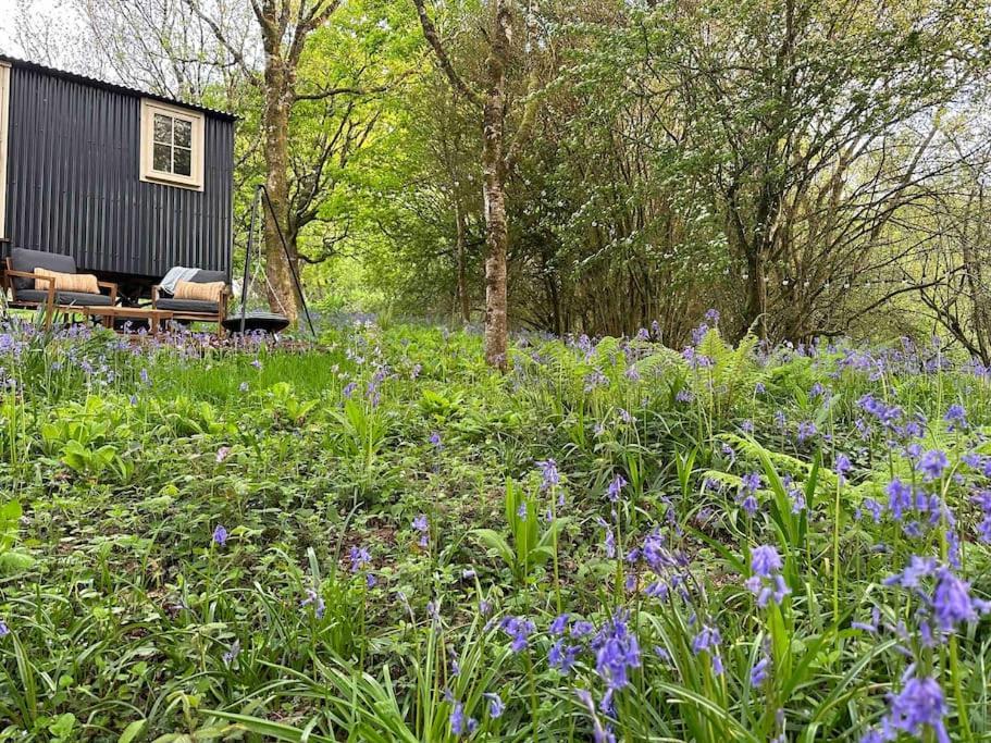 Cornwall Woodland Shepherd'S Hut - Dennis Hut Бодмин Экстерьер фото